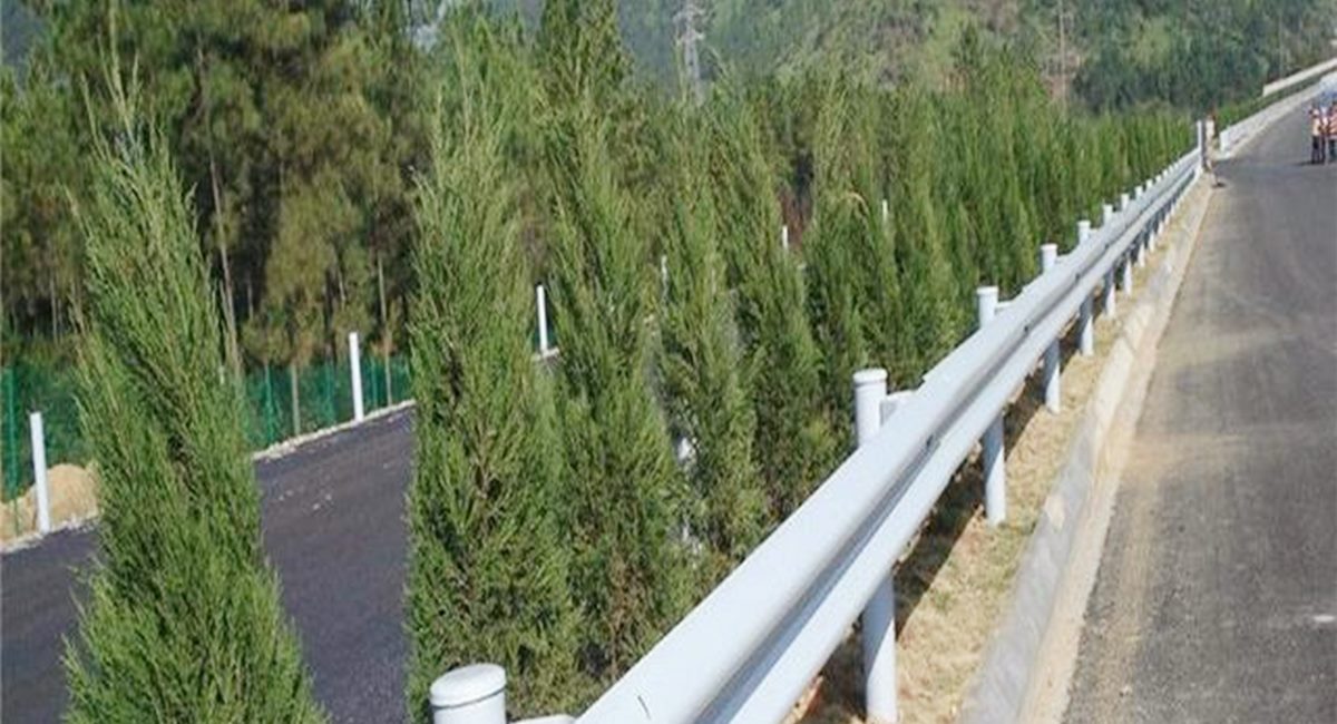 波形護(hù)欄板、鄉(xiāng)村道路護(hù)欄、單波護(hù)欄板世騰加工定制